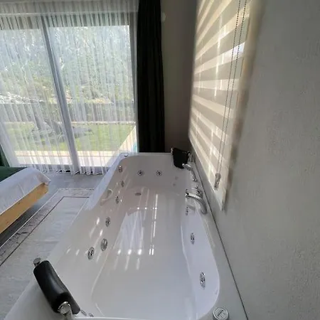 Concen * 费特希耶