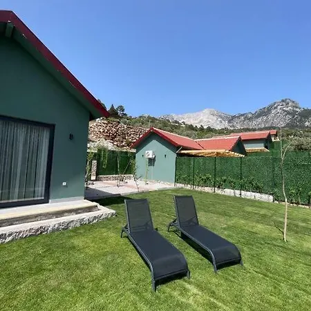Concen Villa